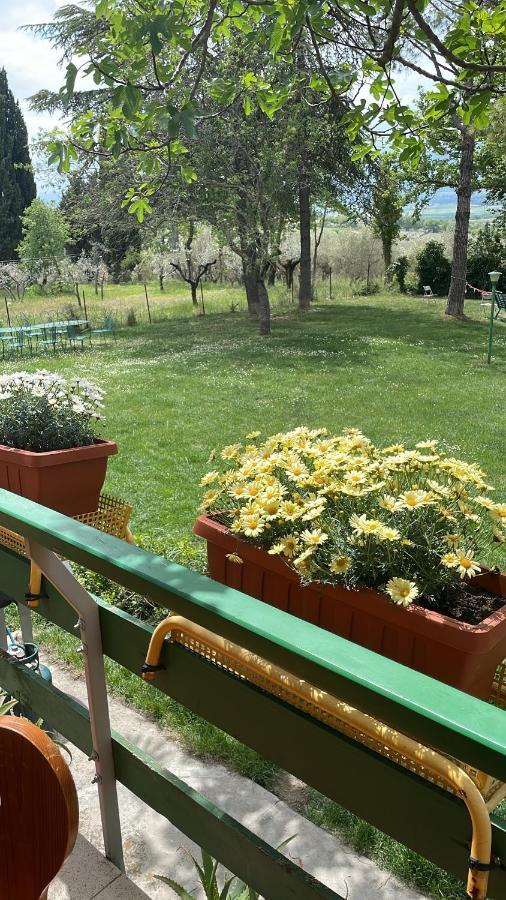 B&B Margherita Montefalco Exteriér fotografie